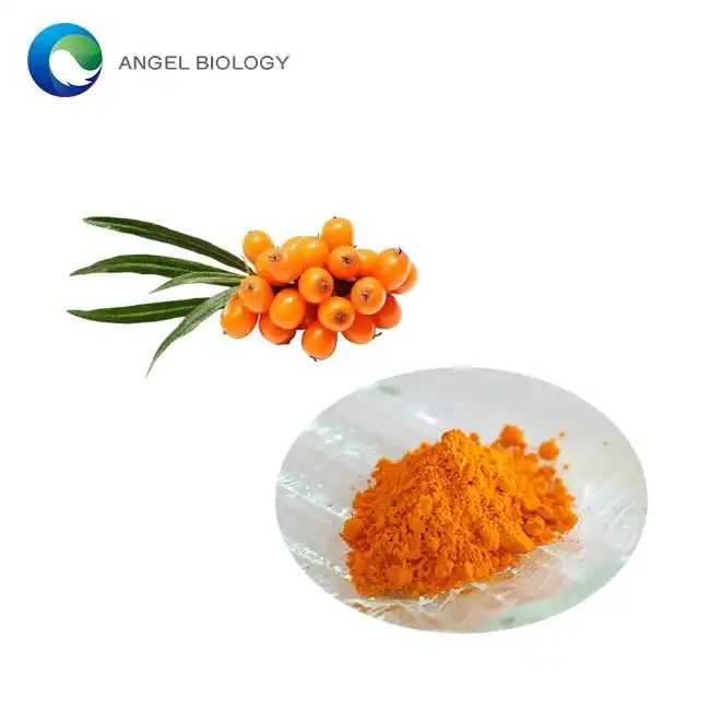 Sea Buckthorn Extract Powder